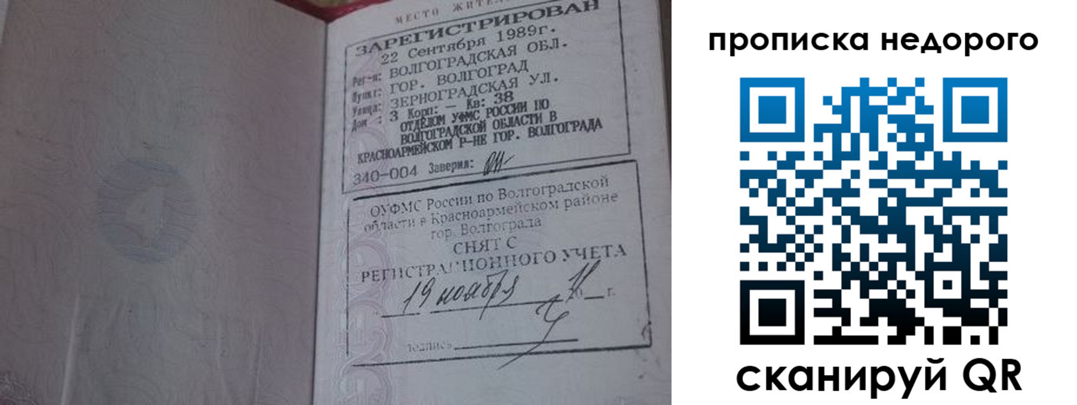 прописка гарантия в Балтийске